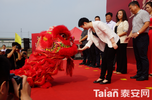 1564403708548982aPIU.png 5.png